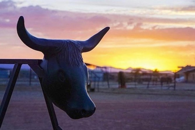 Wild West Sunset Horseback Ride with Dinner from Las Vegas - Price and value for $159.99 per person