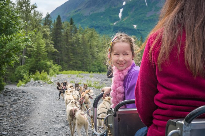 Wilderness Dog Sled Ride and Tour in Seward - Before You Ride: Talking Mushing, Harnessing, and Real Q&A