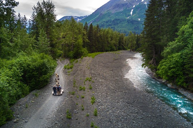 Wilderness Dog Sled Ride and Tour in Seward - Hot Drinks and the Value of Getting Cozy