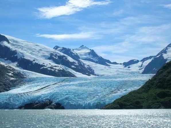 Wilderness, Wildlife, Glacier Experience from Anchorage - The Morning Start: Conservation Center Wildlife You Can Count On