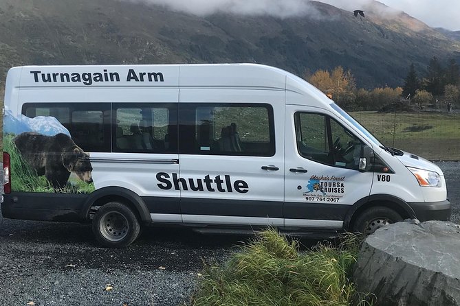 Wildlife and Glaciers with a walk in the Rainforest - Beluga Point: your first chance at Dall sheep and whales