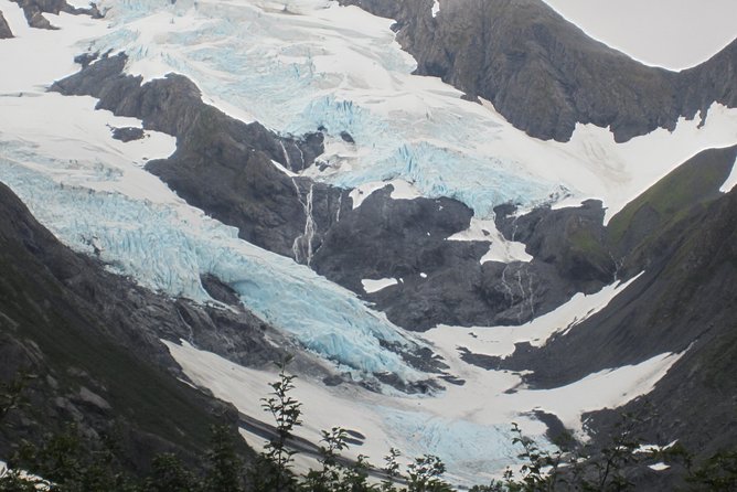 Wildlife and Glaciers with a walk in the Rainforest - Alaska Wildlife Conservation Center: seeing rescue work up close