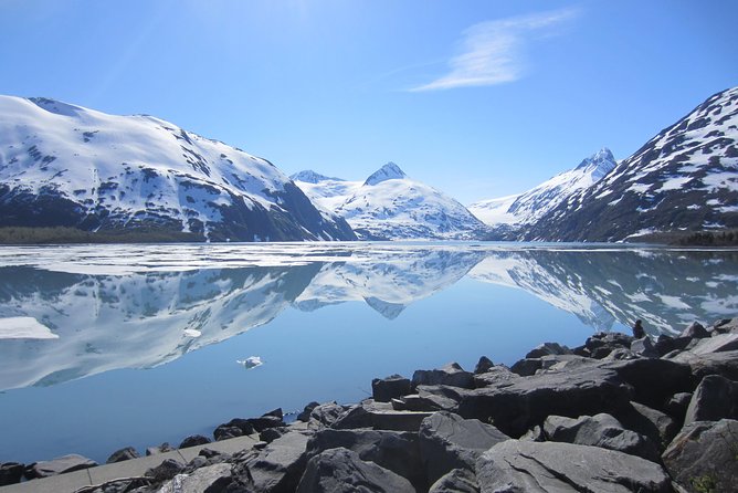 Wildlife and Glaciers with a walk in the Rainforest - Portage Glacier Road and the short rainforest stroll
