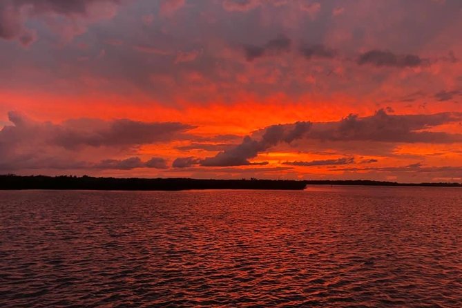 Wildlife Tour of Indian River Lagoon with Experienced Captain - Why the Indian River Lagoon Cruise Works