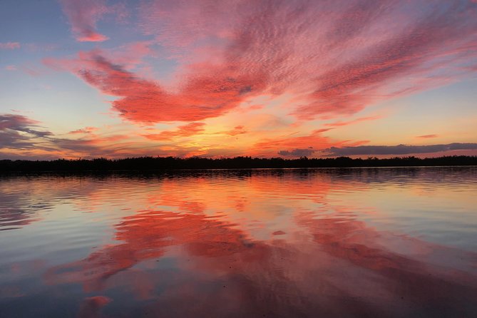 Wildlife Tour of Indian River Lagoon with Experienced Captain - Dolphins, Manatees, and the Wildlife You Can Actually Spot