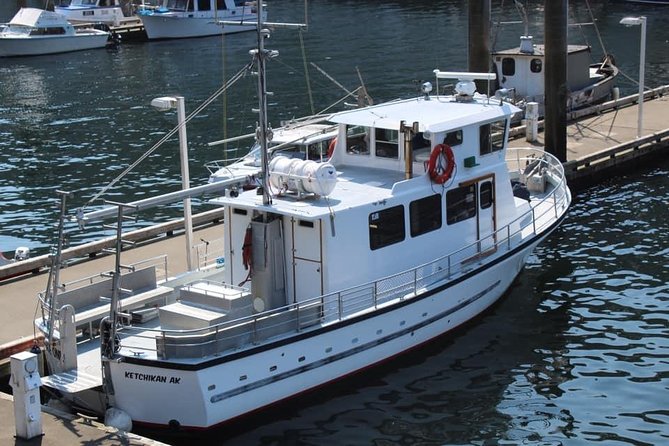 Wildlife Viewing, Sightseeing and Whale Watching Quest - Revillagigedo Island and the salmon-camp lore on the water