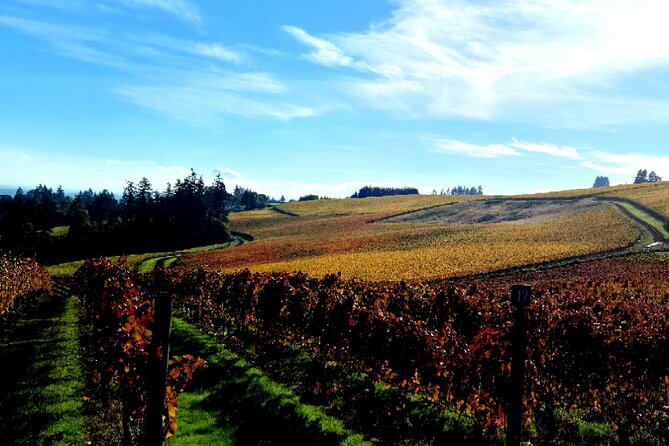 Willamette Valley Wine Tour with Lunch - What You Taste, and How to Choose Tasting Pours