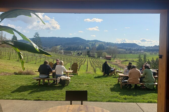 Willamette Valley Wine Tour with Lunch - Lunch at the Winery, Picnic Style