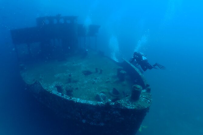 Wreck and Bridge Span Dive for Certified Divers - Key Highlights You’ll Actually Care About