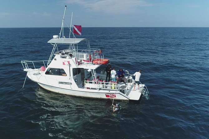 Wreck and Bridge Span Dive for Certified Divers - Why This $115.36 Charter Feels Like Good Value in Panama City Beach