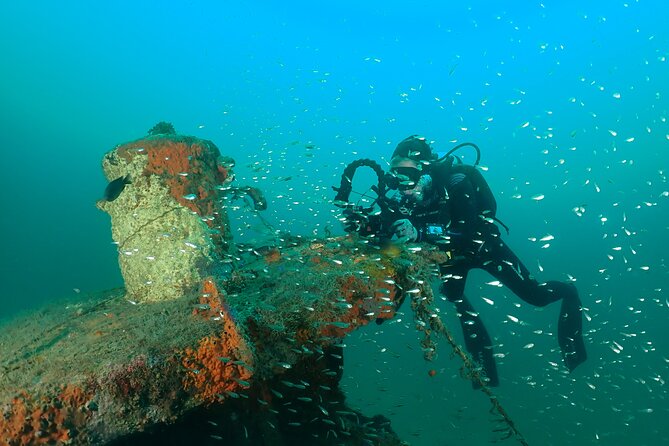Wreck and Bridge Span Dive for Certified Divers - Stop Two: Bridge Span and Artificial Reef, the Part That Can Feel Better or Just Fine