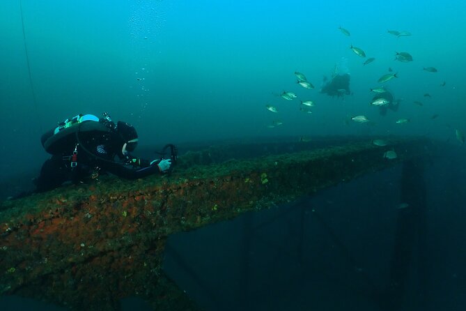 Wreck and Bridge Span Dive for Certified Divers - Water Conditions: Visibility, Current, and the Simple Plan for Not Being Disappointed