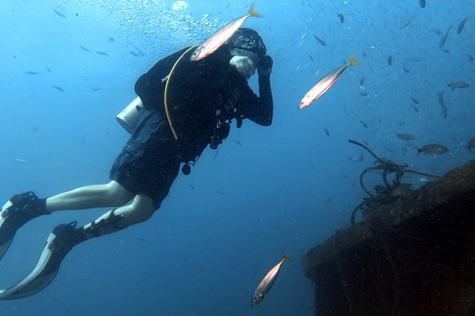 Wreck and Bridge Span Dive for Certified Divers - Timing, Group Size, and Why the Charter Runs Better When It’s Not Too Crowded