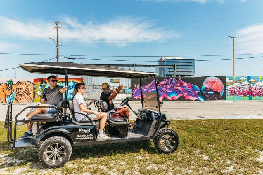 Wynwood Art District 1-Hour Street Art Tour by Golf Cart - What Your Guide Actually Brings to the Cart