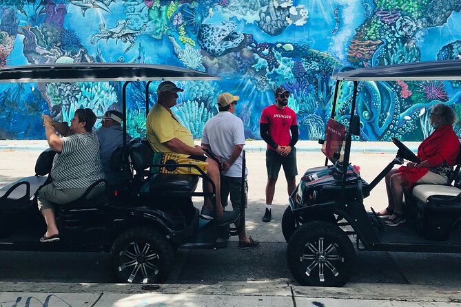 Wynwood Graffiti Golf Cart Small-Group Tour - Price and value: does $45 make sense for Wynwood?
