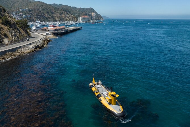 Yellow Semi-Submarine Tour of Catalina Island From Avalon - Key things that make this semi-sub worth your time