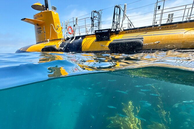 Yellow Semi-Submarine Tour of Catalina Island From Avalon - SS Nautilus and Lovers’ Cove: what you’re really seeing