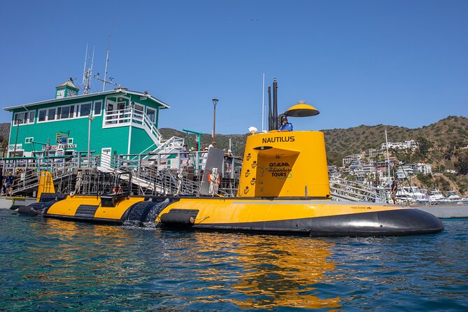 Yellow Semi-Submarine Tour of Catalina Island From Avalon - The fish food add-on: great fun, extra cash, plan ahead