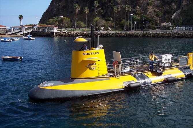 Yellow Semi-Submarine Tour of Catalina Island From Avalon - Price and value: what $53 really buys you