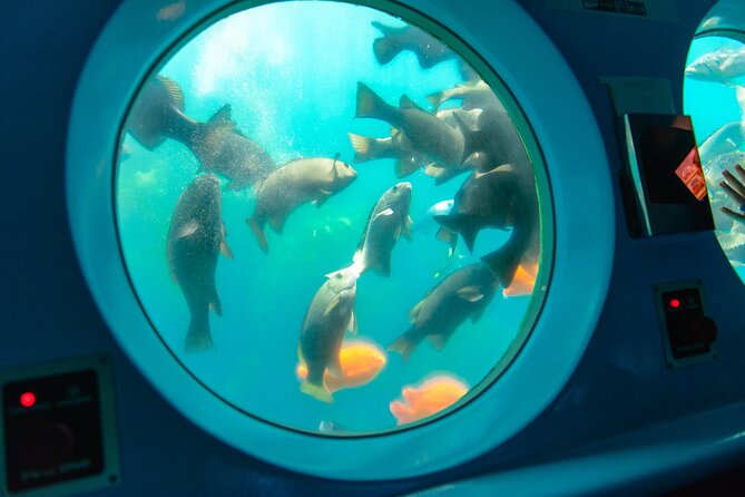 Yellow Semi-Submarine Tour of Catalina Island From Avalon - The 45-minute flow: boarding, underwater viewing, and the return