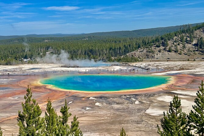 Yellowstone Lower Loop Full-Day Tour - Key points that make this tour worth your time
