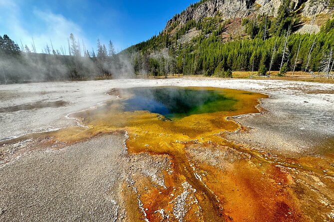 Yellowstone Lower Loop Full-Day Tour - Jackson Hole Pickup and a Small-Group Yellowstone Day