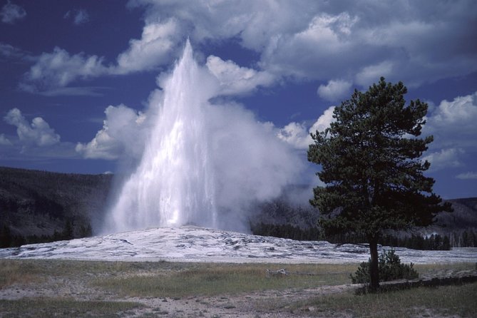 Yellowstone Lower Loop Full-Day Tour - Old Faithful, Again, Because Great Timing Matters