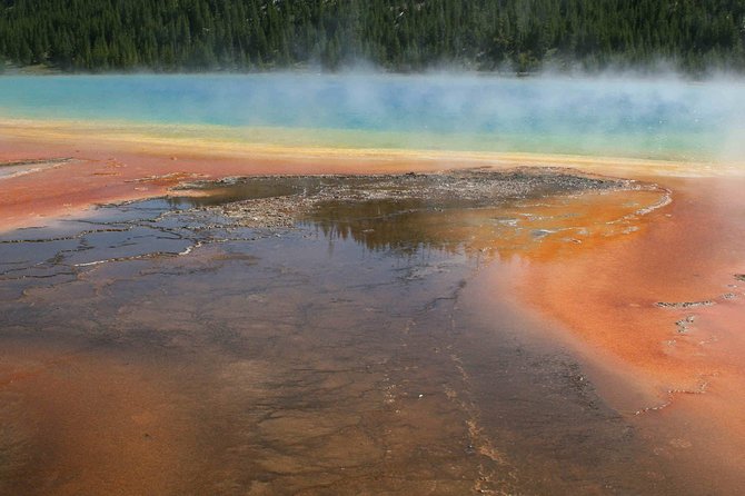 Yellowstone National Park - Full-Day Lower Loop Tour from Jackson - Wildlife Time: How Guides Turn Driving Into Sightings