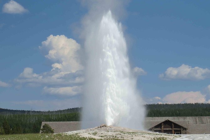 Yellowstone National Park - Full-Day Lower Loop Tour from Jackson - Old Faithful to the Falls: Why the Lower Loop Works So Well in One Day