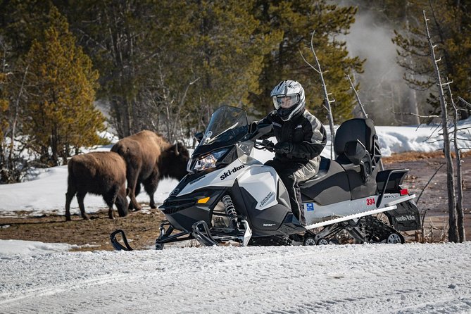 Yellowstone Old Faithful Full-Day Snowmobile Tour from Jackson Hole - Price and what you are really paying for from Jackson Hole