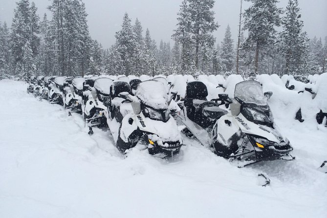 Yellowstone Old Faithful Full-Day Snowmobile Tour from Jackson Hole - Moose Falls: a quick photo break that still pays off