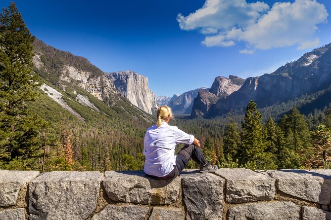 Yosemite Highlights & Giant Sequoias Day Tour from San Francisco - Yosemite Valley for lunch and a real break