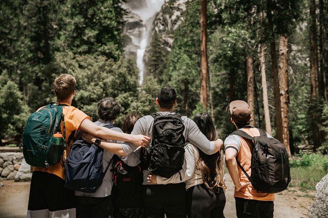 Yosemite Highlights & Giant Sequoias Day Tour from San Francisco - El Capitan Meadow to Tuolumne: switching gears from granite to giant trees