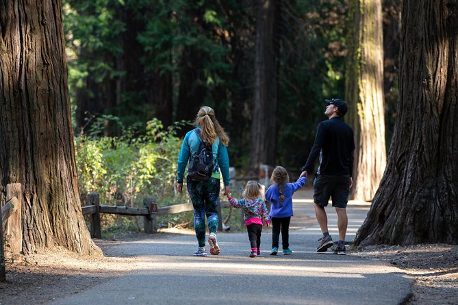 Yosemite Highlights & Giant Sequoias Day Tour from San Francisco - Gold Rush country on the way to Yosemite, plus a breakfast stop that keeps things moving