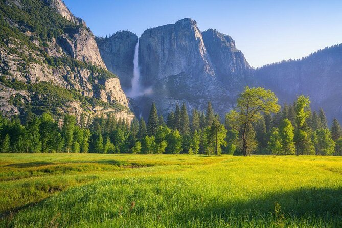 Yosemite Highlights Small Group Tour - Key points before you go