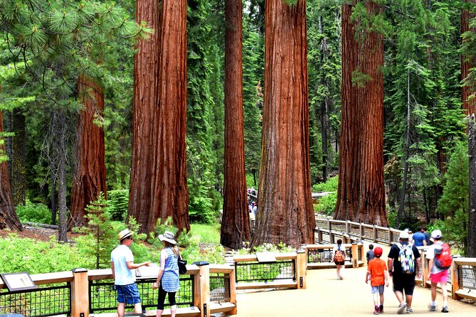 Yosemite Highlights Small Group Tour - Why this Yosemite day tour makes sense