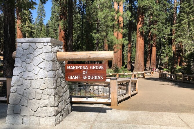 Yosemite Highlights Small Group Tour - Pickup timing: where the day really starts