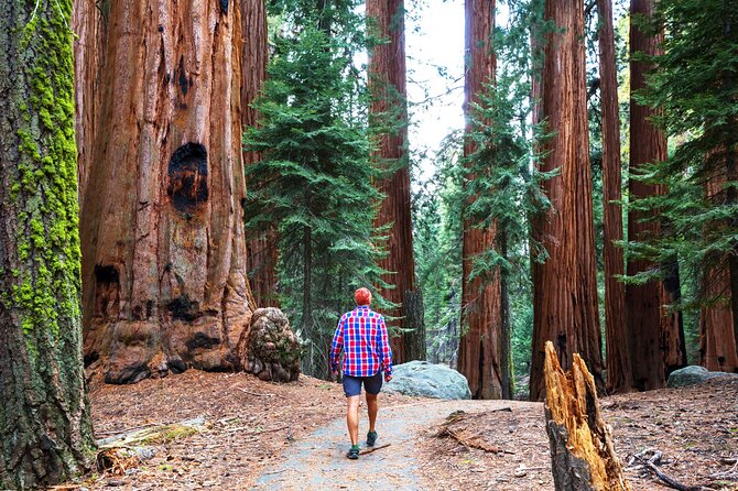 Yosemite National Park 2-Day Tour from San Francisco with Lodging - Price and fees: what you’re paying for, and how to judge value