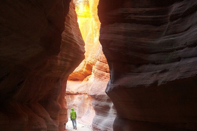 YOU DRIVE!! 4 Hr Peek-a-Boo & Hog Canyon Tour-Starting at $175 pp - Driving a Polaris Razr in Zion area terrain