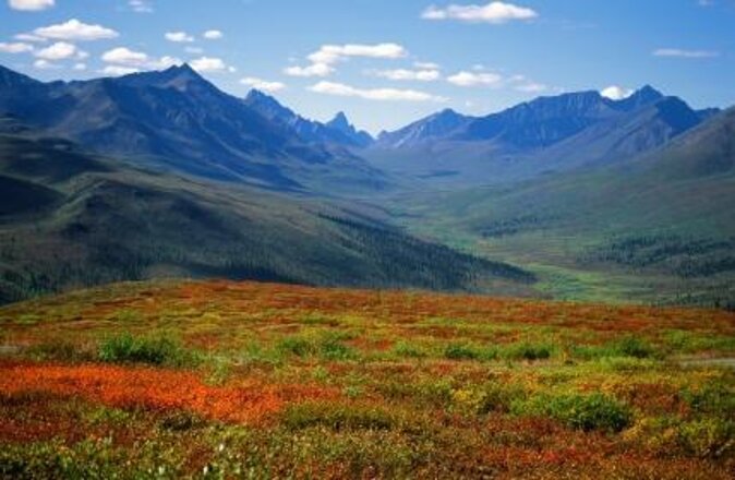 Yukon Suspension Bridge and Summit Tour - Skagway to Canada on One Tight 3-Hour Loop