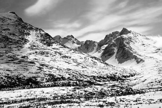 Yukon Suspension Bridge and Summit Tour - The Drive: Why the Van Experience Feels Better Than Full Coaches