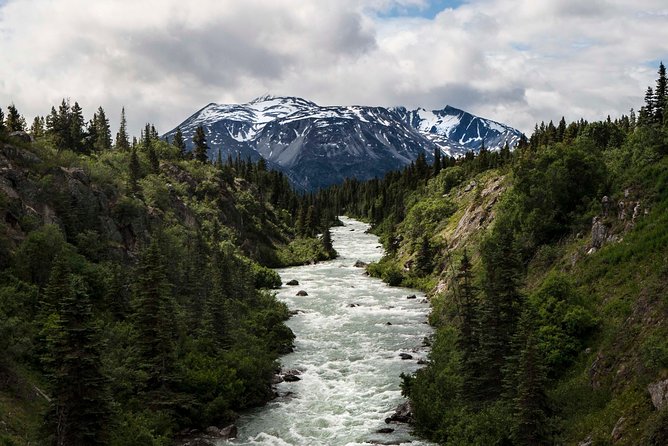 Yukon Suspension Bridge and Summit Tour - How Gold Rush Stories and Natural History Fit the Scenery