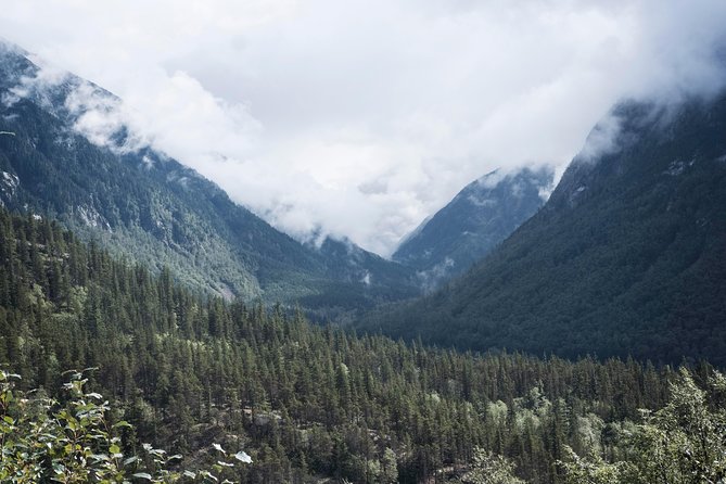 Yukon Suspension Bridge and Summit Tour - Who This Tour Is Best For (And Who Might Prefer Something Else)