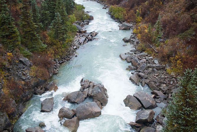Yukon Suspension Bridge and Summit Tour - What You Get Included, What You Need to Plan for