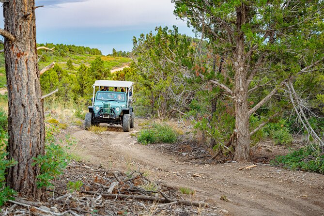 Zion Sunset Jeep Tour - How the 1.5 Hour Schedule Feels in Real Time
