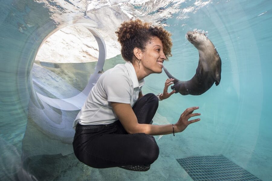 Zoo Miami: General Admission Ticket - Quick hits for your Zoo Miami day