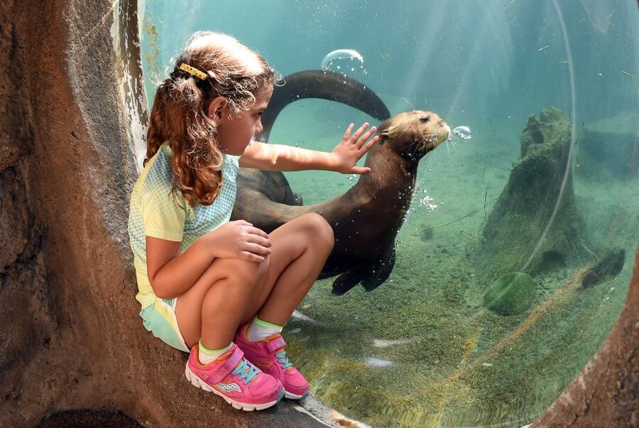 Zoo Miami: General Admission Ticket - Staff talks, encounters, and how to avoid missing the best moments