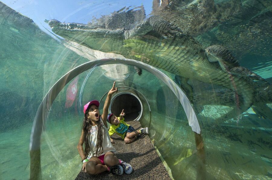 Zoo Miami: General Admission Ticket - Playworld Playground for kid energy (and parent sanity)