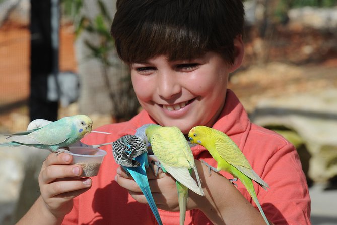 Zoo Miami Ticket with Optional Upgrade - Wings of Asia Aviary: the bird highlight that can dominate your whole afternoon