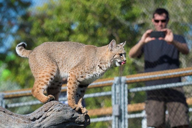 Zoo Miami Ticket with Optional Upgrade - Amazon and Beyond: rainforest exhibits, venomous snakes behind glass, and the aquarium